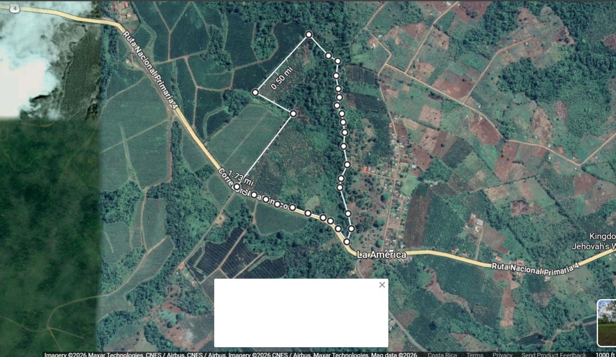 Captura de pantalla 2026-01-28 140128