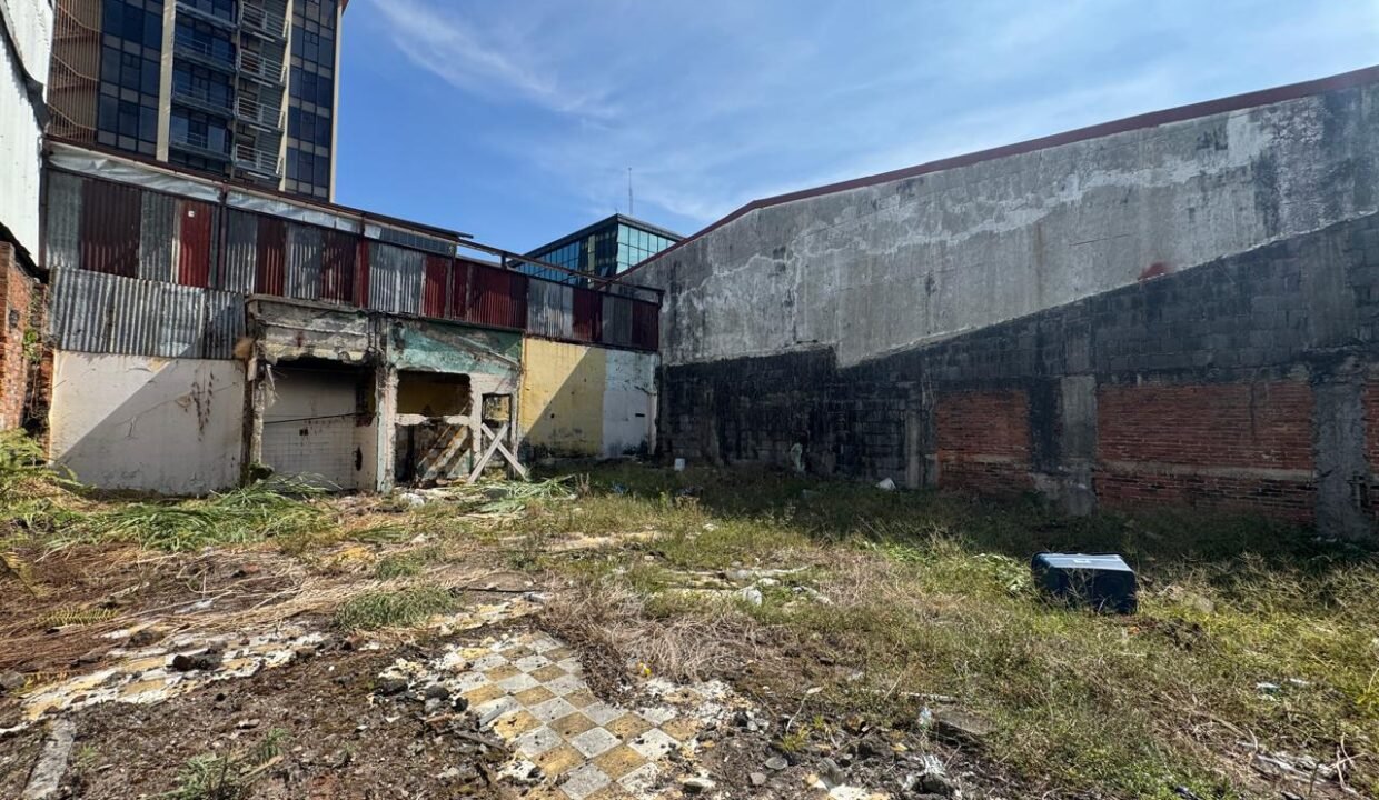 WhatsApp Image 2025-04-01 at 11.15.09 (1)