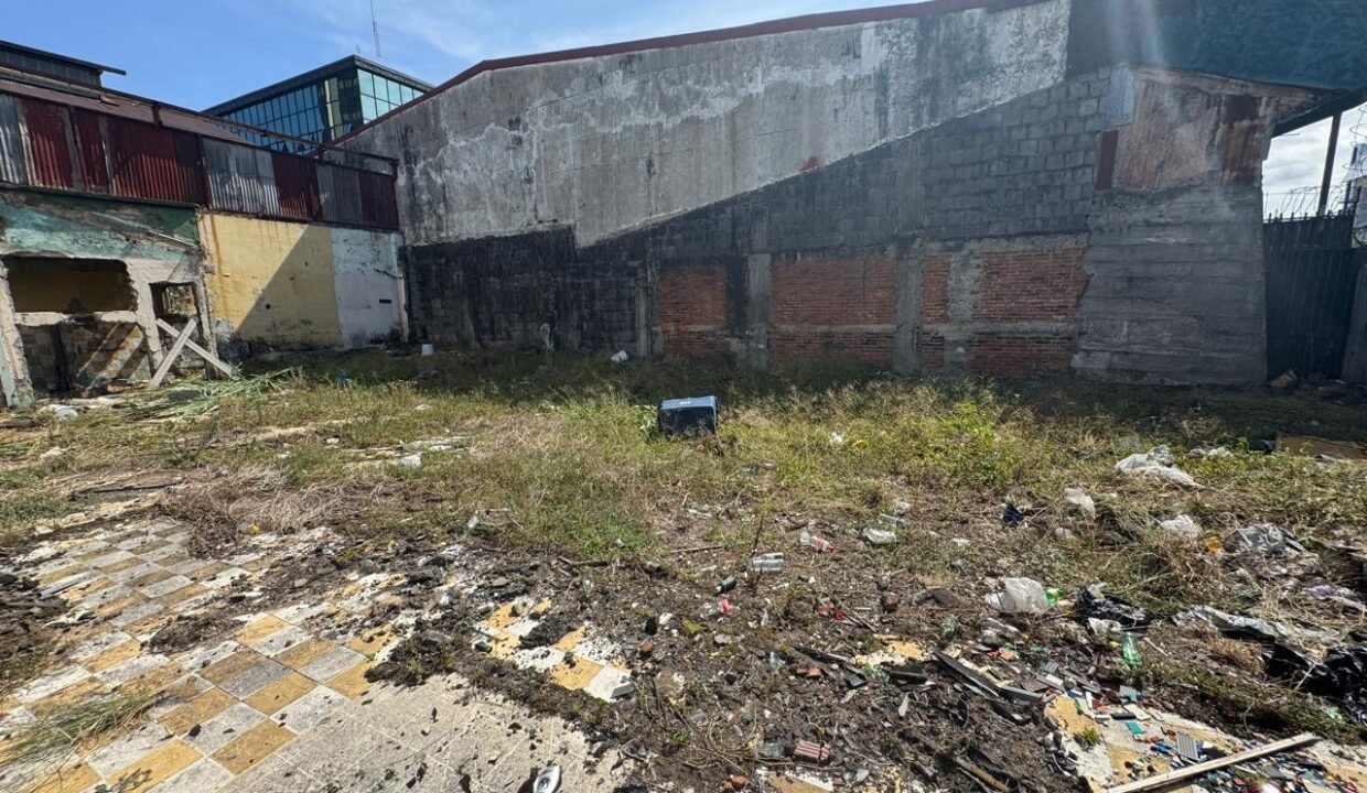 WhatsApp Image 2025-04-01 at 11.15.09 (10)