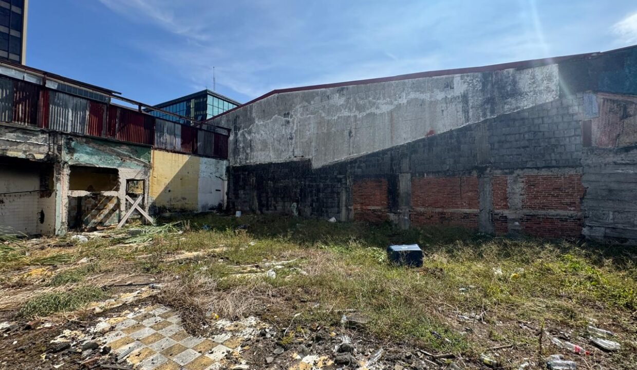 WhatsApp Image 2025-04-01 at 11.15.09 (2)