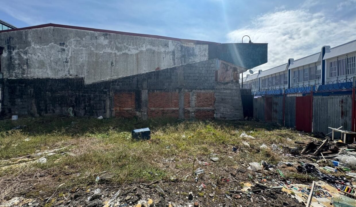 WhatsApp Image 2025-04-01 at 11.15.09 (3)