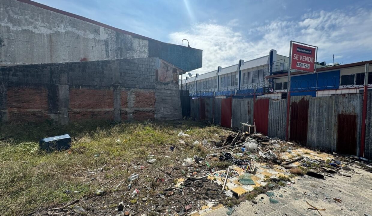 WhatsApp Image 2025-04-01 at 11.15.09 (4)