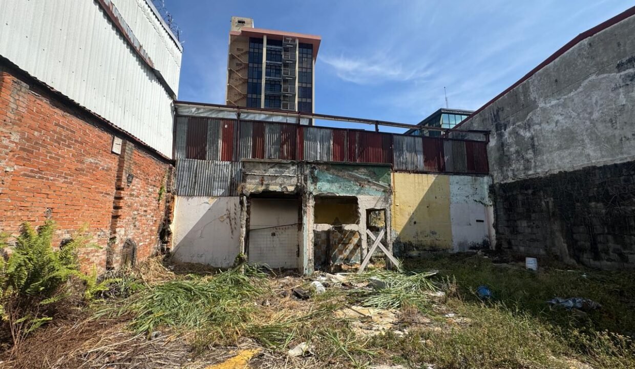 WhatsApp Image 2025-04-01 at 11.15.09 (5)