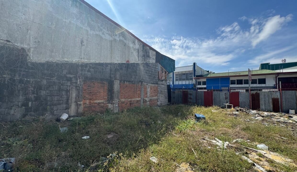 WhatsApp Image 2025-04-01 at 11.15.09 (6)