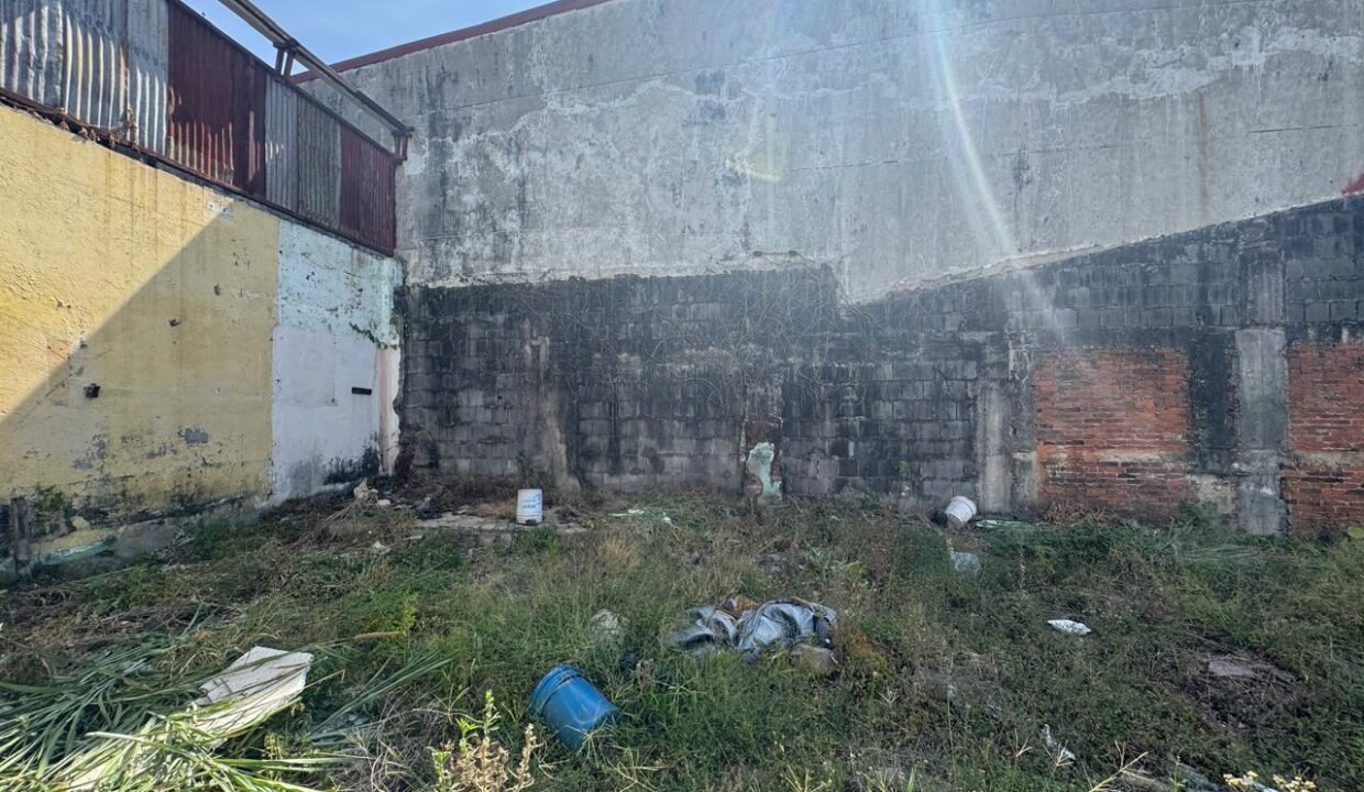 WhatsApp Image 2025-04-01 at 11.15.09 (7)