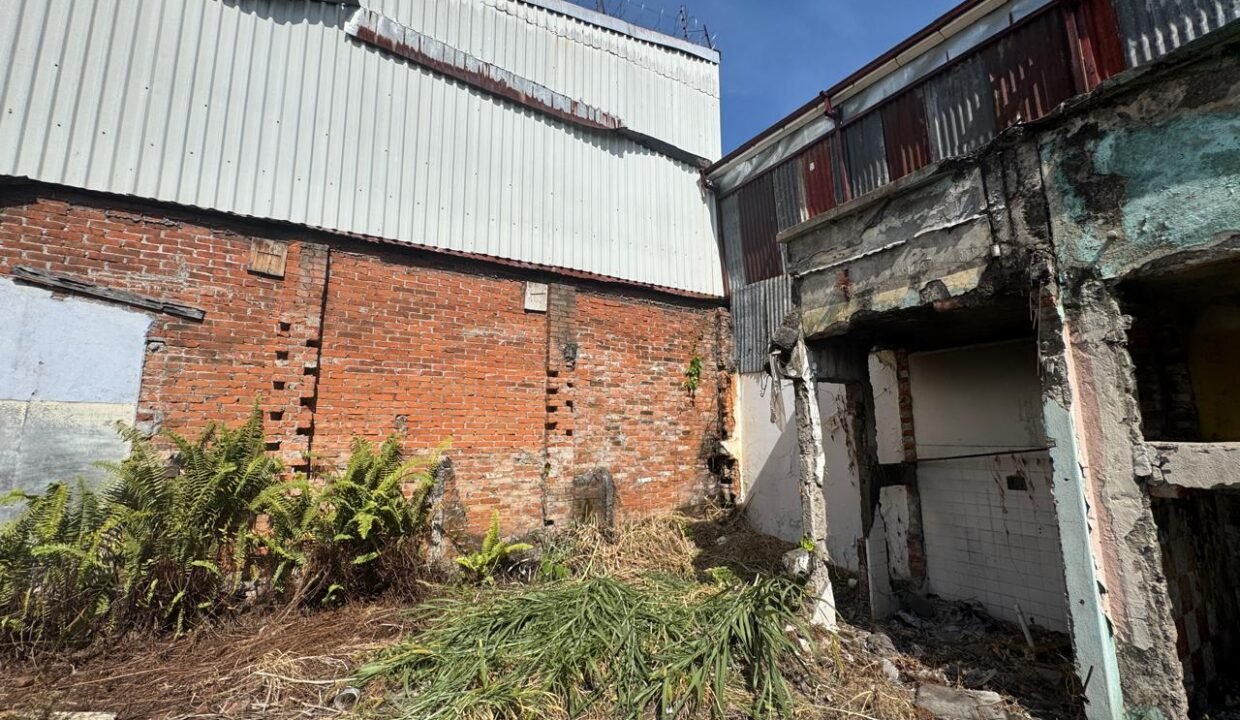 WhatsApp Image 2025-04-01 at 11.15.09 (8)