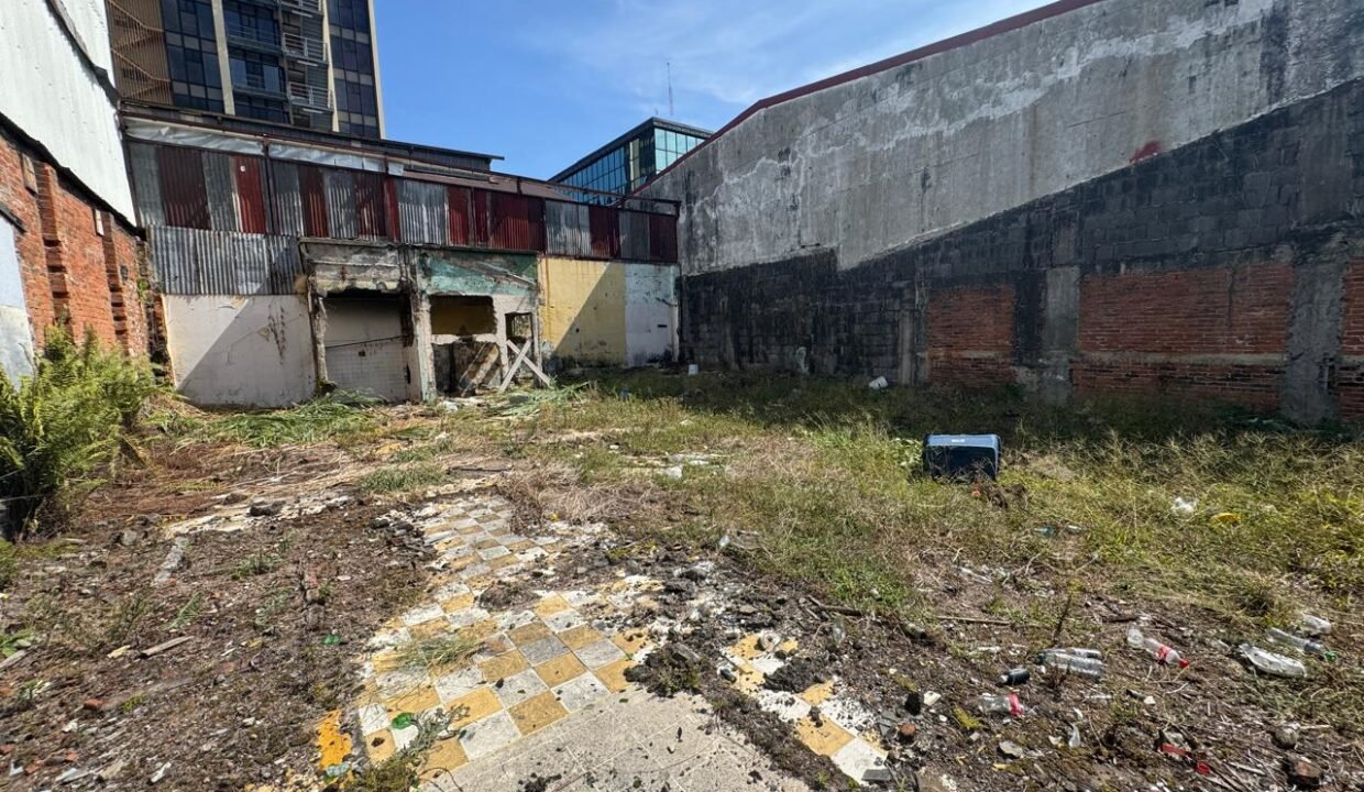 WhatsApp Image 2025-04-01 at 11.15.09 (9)