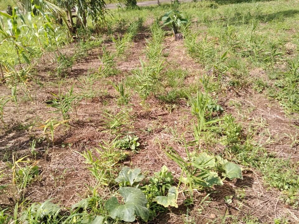 WhatsApp Image 2026-01-12 at 18.32.33