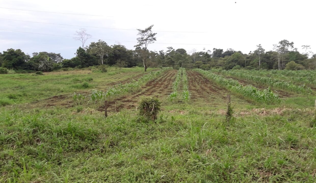 WhatsApp Image 2026-01-12 at 18.32.34 (1)