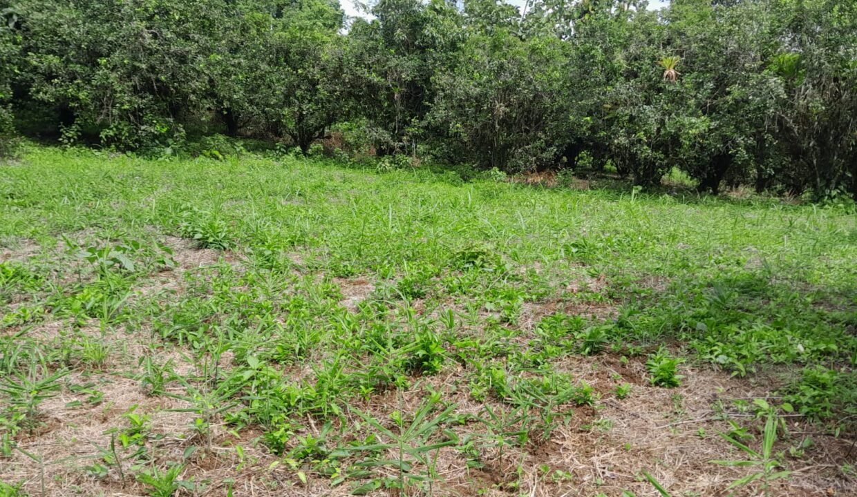 WhatsApp Image 2026-01-12 at 18.32.34