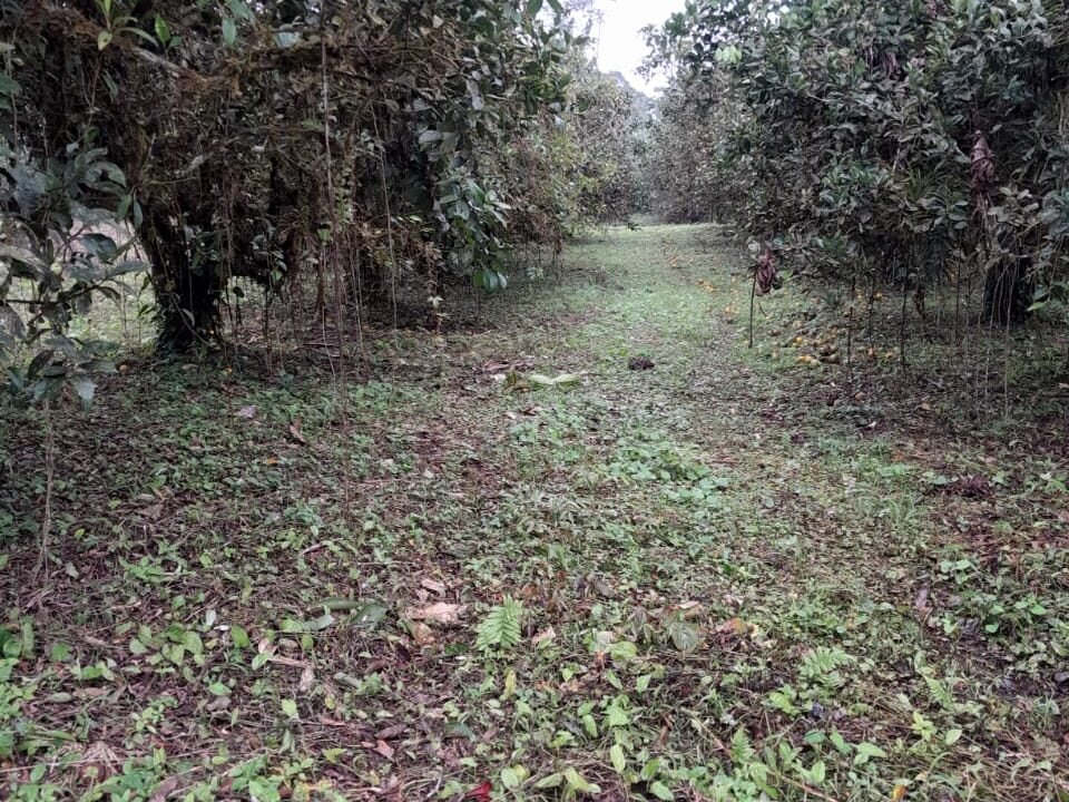 WhatsApp Image 2026-01-12 at 18.32.35 (3)