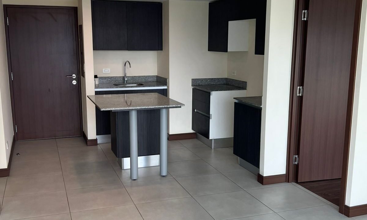 WhatsApp Image 2026-02-15 at 14.19.42