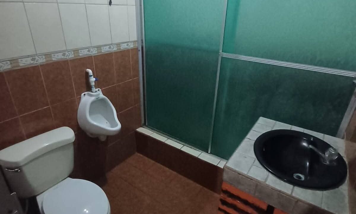 WhatsApp Image 2026-02-16 at 17.11.09