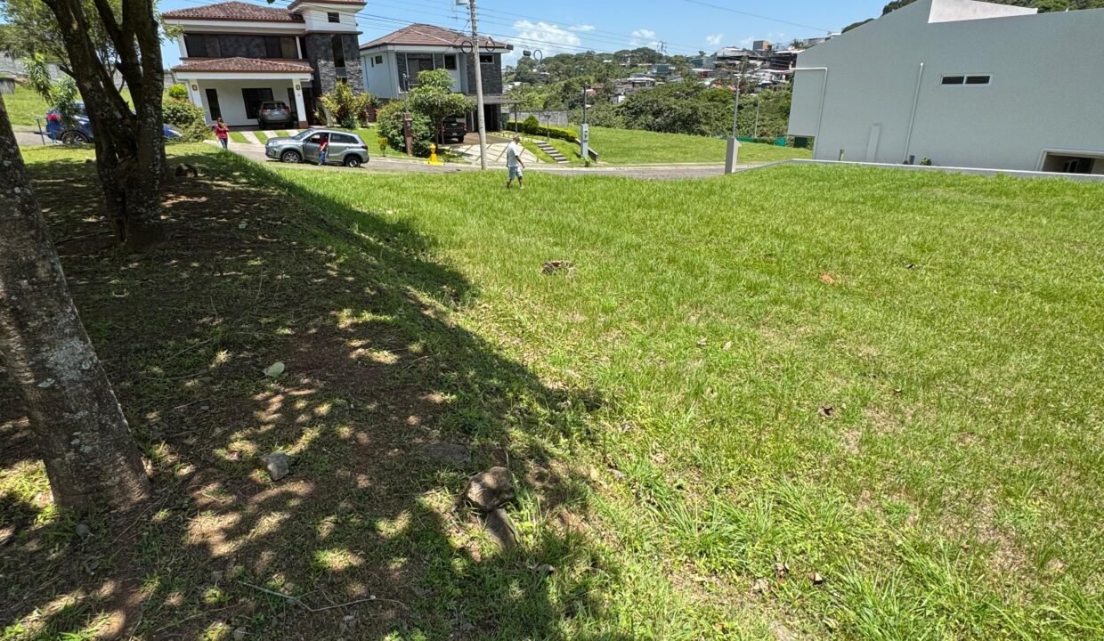 WhatsApp Image 2026-02-17 at 09.27.21