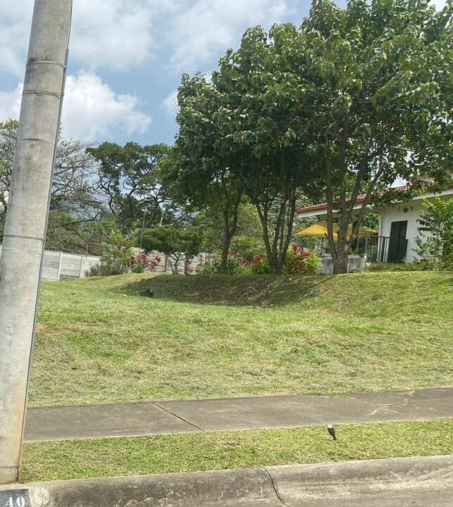 WhatsApp Image 2026-02-17 at 09.27.22