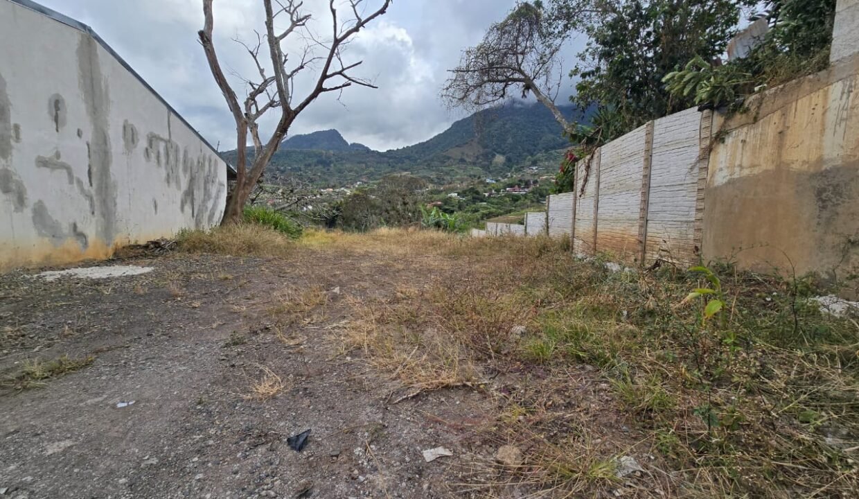 WhatsApp Image 2025-02-26 at 19.16.25