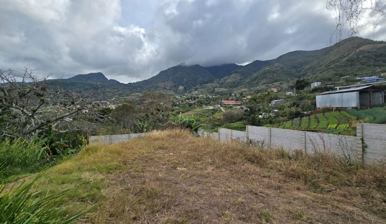 WhatsApp Image 2025-02-26 at 19.16.25 (2)