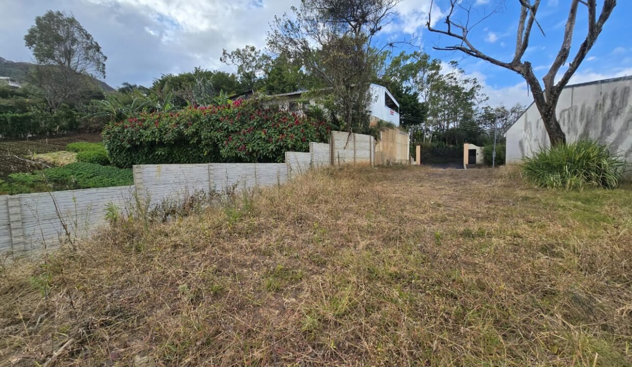 WhatsApp Image 2025-02-26 at 19.16.25 (3)