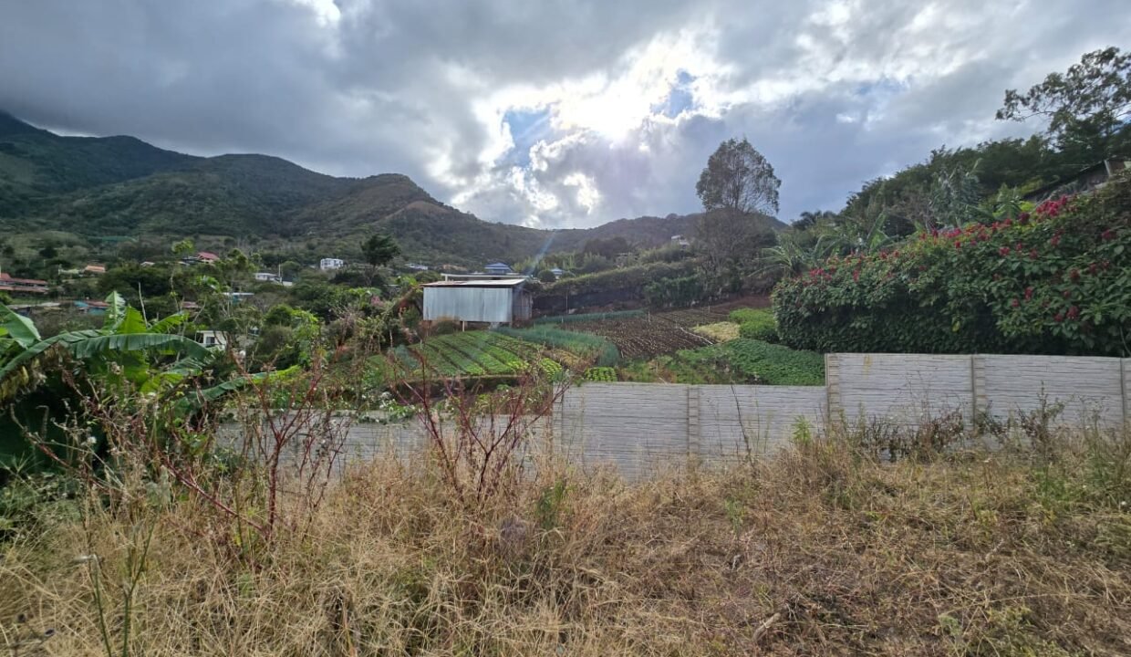 WhatsApp Image 2025-02-26 at 19.16.25 (4)