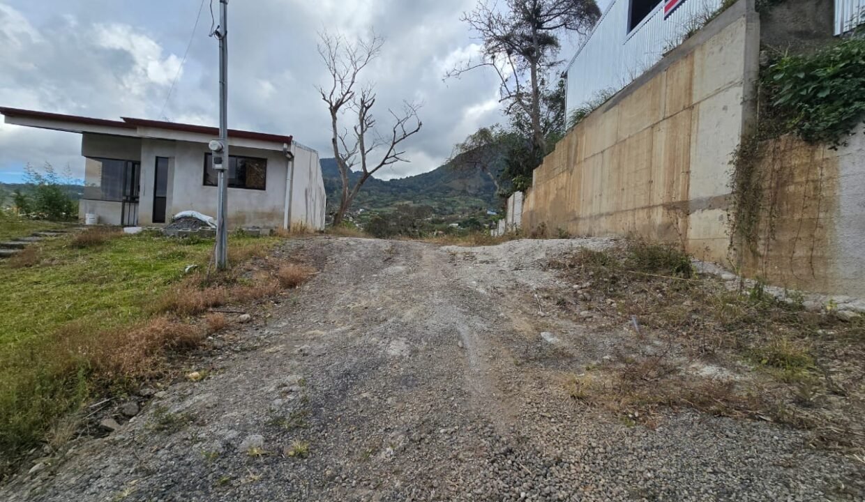 WhatsApp Image 2025-02-26 at 19.16.26 (1)