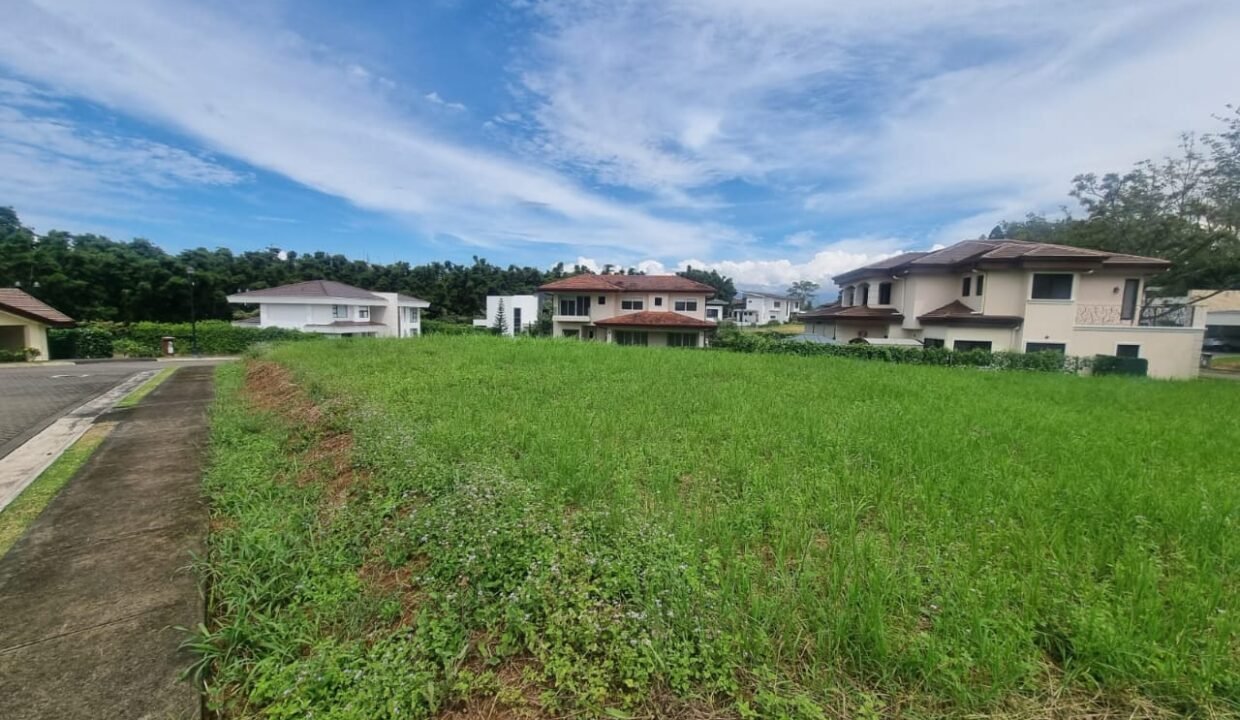 WhatsApp Image 2026-02-06 at 13.47.51