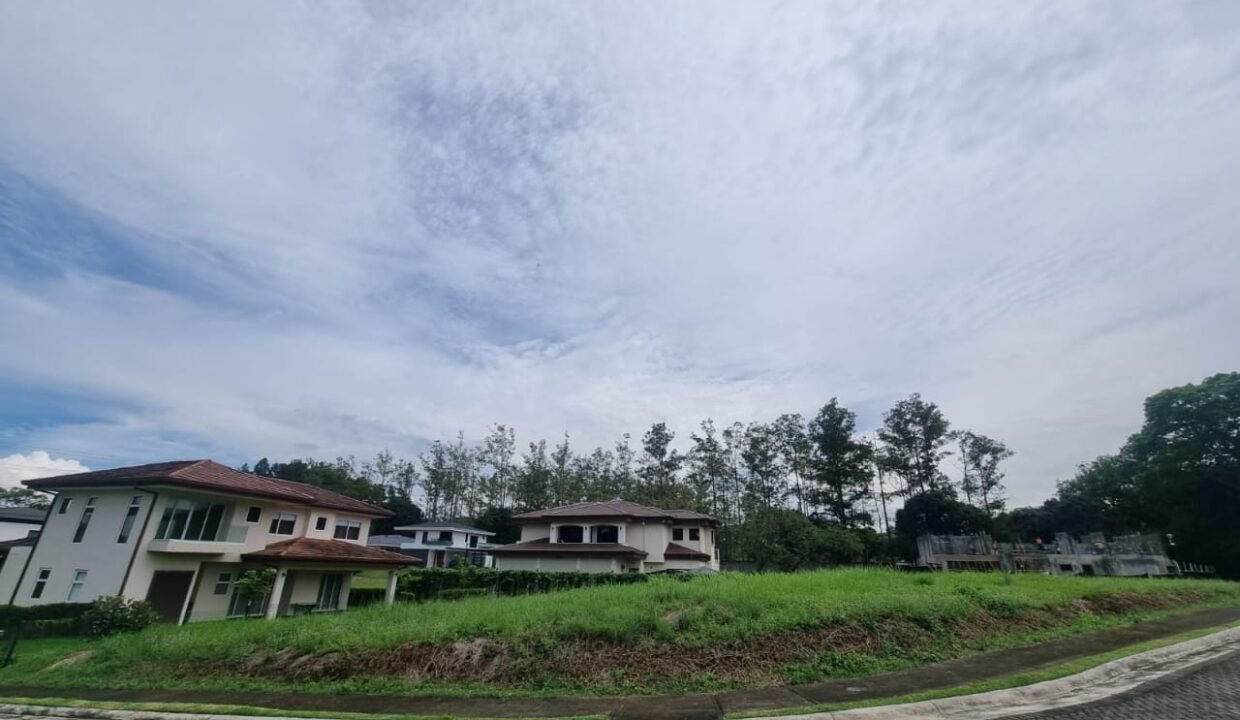 WhatsApp Image 2026-02-06 at 13.47.53