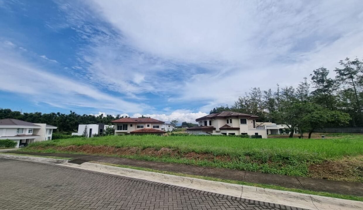 WhatsApp Image 2026-02-06 at 13.47.55