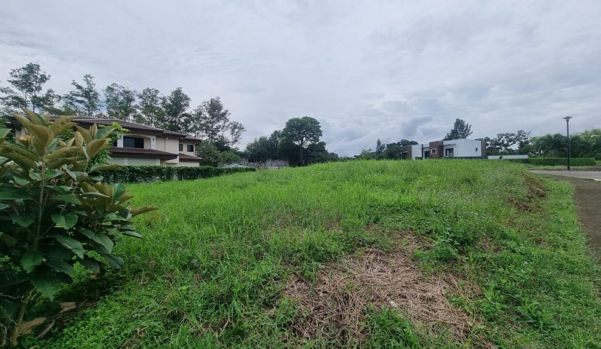 WhatsApp Image 2026-02-06 at 13.48.02 (2)