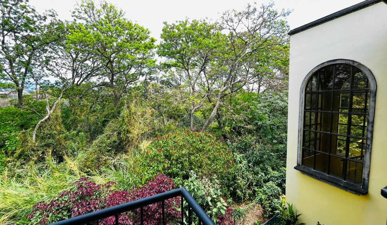 WhatsApp Image 2026-03-19 at 11.52.31 (3)