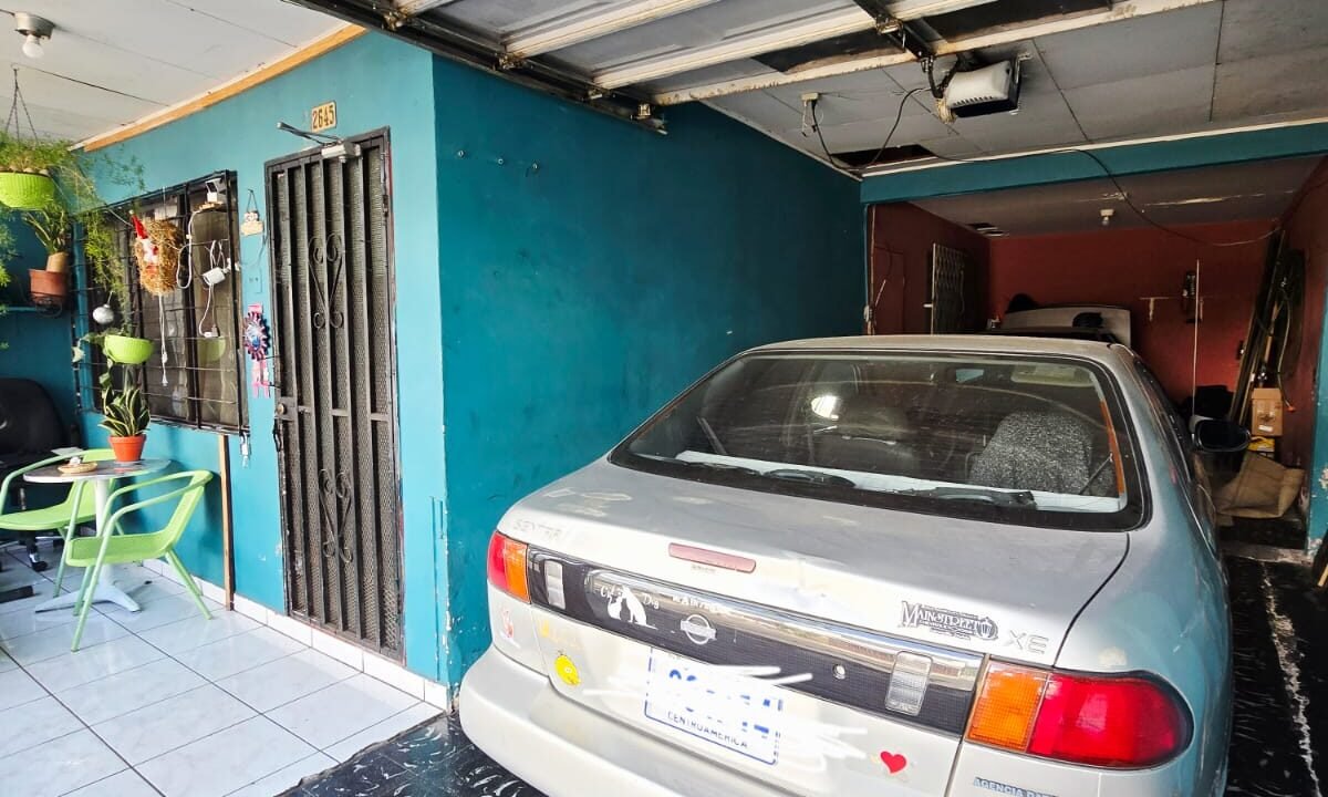 WhatsApp Image 2026-03-27 at 19.11.14 (3)