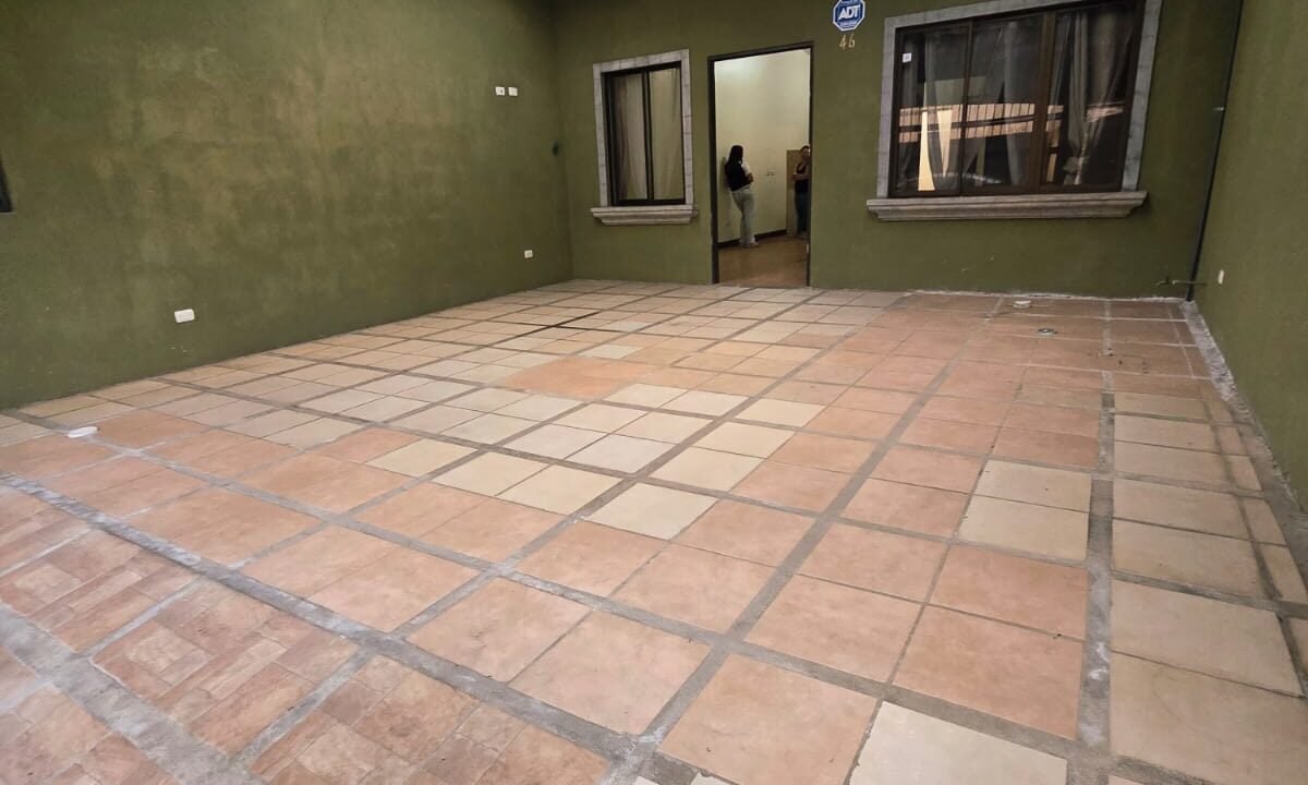 WhatsApp Image 2026-03-31 at 12.08.16 (1)