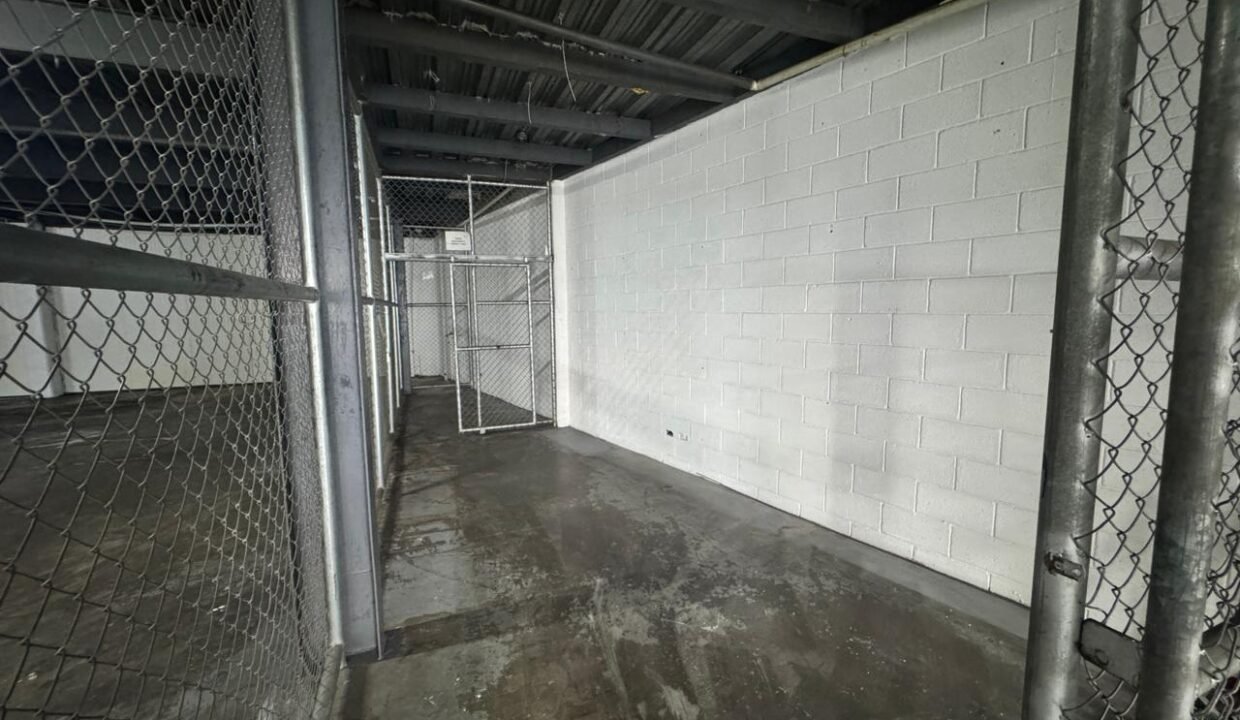 WhatsApp Image 2026-04-06 at 16.44.06 (1)